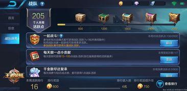 王者爆料论坛最新消息网,揭秘游戏新动态与神秘更新