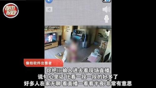 网友爆料口播违法吗视频,违法与否成焦点